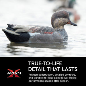 Avian X Topflight Gadwall Decoys Realistic Gray Ducks, Set of 6, Multicolor