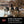 Avian X AXP Honkers Full Body Realistic Paint Canada Goose Decoys Fusion Pack