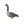 Avian X AXP Honkers Full Body Realistic Paint Canada Goose Decoys Fusion Pack