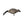 Avian X AXP Honkers Full Body Realistic Paint Canada Goose Decoys Fusion Pack