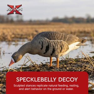 Avian X AXP Specklebelly Decoy Fusion Pack with Lasting Finish and Bag, 6 Pack