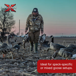 Avian X AXP Specklebelly Decoy Fusion Pack with Lasting Finish and Bag, 6 Pack