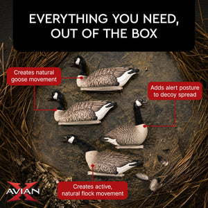 Avian X Topflight Honker Floaters with True to Life Postures for Hunting Use