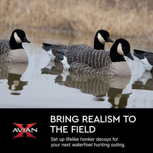 Avian X Topflight Honker Floaters with True to Life Postures for Hunting Use