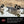 Avian X Topflight Lessers Floating Goose Hunting Decoys for Hunting Purposes