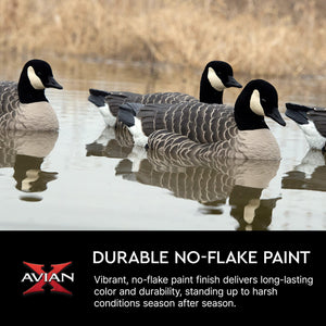 Avian X Topflight Lessers Floating Goose Hunting Decoys for Hunting Purposes