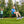 gobaplay Explorer Kids Swing Set w/Frame, Dual Platform Saucer, Swings & Trapeze