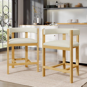 Counter Stool Set of 2