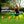 gobaplay FlyMax Saucer Tree Swing, 40