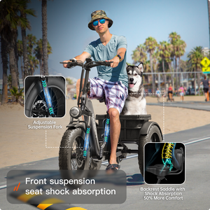 Husky Plus Etrike
