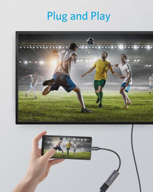 Anker <b>310</b> USB-C Adapter (4K HDMI) - TRAPSKI