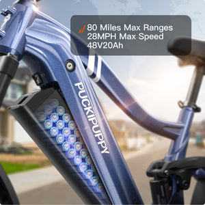 Boxer Ebike