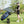 Folding 2 Wheels Push Pull Golf Cart Trolley with Scoreboard