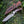 Velar Japanese Hunting Knife with VG-10 Damacus Blade and Exotic Red Sandal Wood Handle