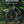2MOA Red Dot Sight, Smiley Face Reticle - TRAPSKI
