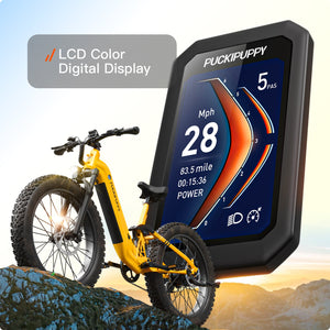 Boxer ST Ebike