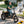 Rottweiler Etrike