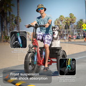 Husky Plus Etrike