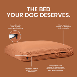 Dog Bed