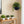 Self Watering Hanging Planter