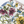 Outdoor Chair Cushions Set of 2, Botanical Floral