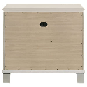 Gwendolyn - 2 Drawer Nightstand - White