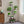 Plant Stand Indoor with Grow Lights - 62 in Tall 8-Tier Lighted Shelf