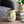 7.9x6.5x7.9' White Ceramic Pitcher Vase with Yellow Lemon Motif