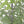 4' Artificial Real Touch Pine Tree