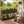 Dual Tier Elevated Metal Raised Garden Bed with Lockable Wheels & Lower Storage Shelf