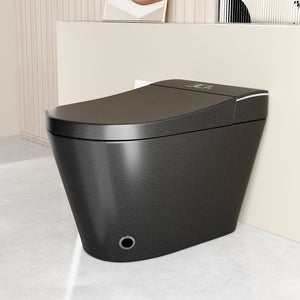 Smart Bidet Toilet With Auto Open / Close Seat, Warm Water Wash, Heated Seat, And Wireless Remote Control