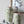 6.5x6.5x11.6 White Ceramic Flower Vase with Green Floral Pattern
