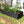 8×4×1.5 ft Galvanized Raised Garden Bed