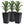 Outsunny Set of 3 Tall Planters