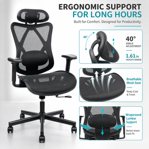 Ergonomic Office Chair with Adjustable Lumbar Support