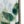 Sylvan Serenity™ — Set of 2 Blue & Green Leaf Acrylic Prints