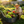 Galvanized Raised Garden Bed 8x4x1ft