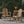 Outdoor Weather Resistant Acacia Wood Adirondack Dining Chairs (Set of 2)