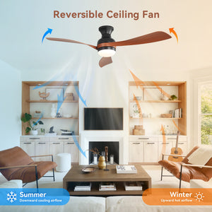 52-Inch Ceiling Fan with Lights and Reversible DC Motor