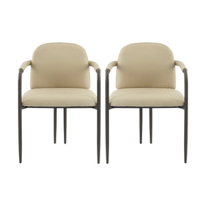 Modern Dining Chair Set of 2 with Iron Frame - Espresso / Khaki