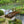 Outsunny 7' Metal Arch Garden Bridge with Safety Siderails
