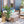 Simulate Plastic Flower Boxes With Leaves For Outdoor Home Decor (Set of 2) -