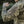 M-Tac Women's Jacket Armed Forces
