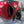 3-person Portable Pop-up Ice Shelter Fishing Tent with Bag