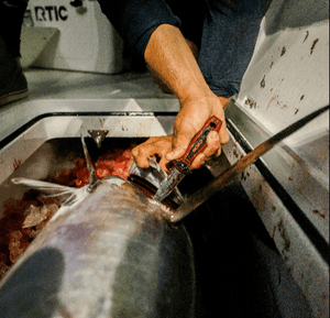 4" FREEDIVING KNIFE - TRAPSKI