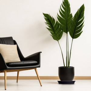 HC Companies Classic 21.13 Inch Round Saucer Tray for Pots, Black (12 Pack)