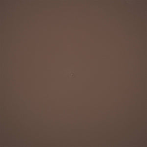 The HC Companies Classic 21" Deep Plastic Round Plant Pot Saucer, Brown (6 Pack)