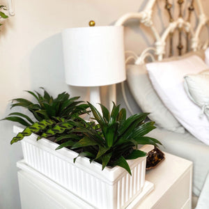 HC Companies 30 Inch Fluted Plastic Venetian Garden Flower Window Box (6 Pack)