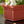 HC Companies 30 Inch Fluted Venetian Garden Flower Window Box, Clay (4 Pack)