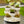 The HC Companies 8 Inch Pixie Indoor Stacking Plant Pot, Vanilla Bisque (2 Pack) - TRAPSKI